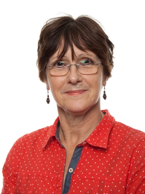 Mrs Sue Davies